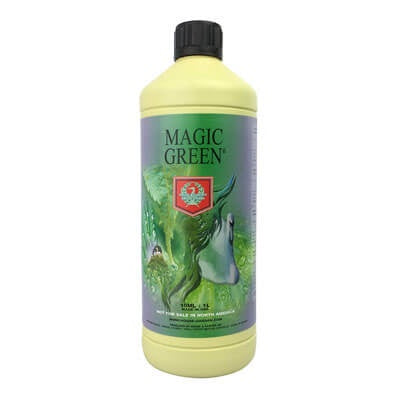 House & Garden Magic Green