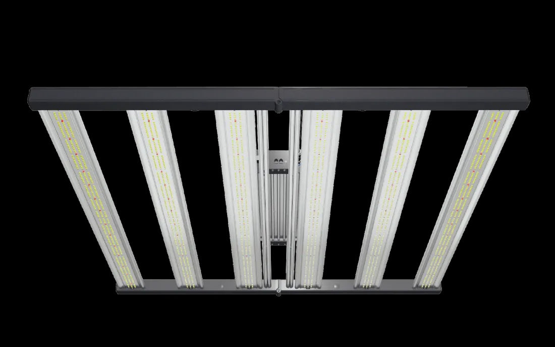 Grand Master LED (GML) Master 6 Bloom Red Featuring 730nm