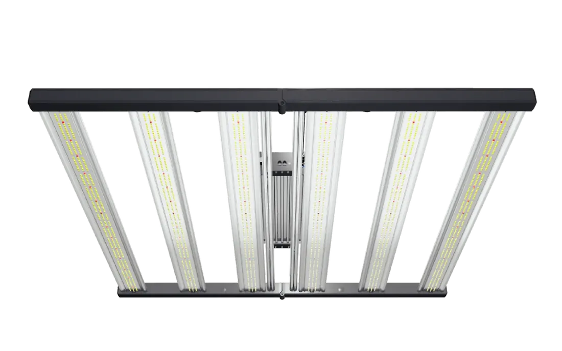 Grand Master LED (GML) Master 6 Bloom Red Featuring 730nm