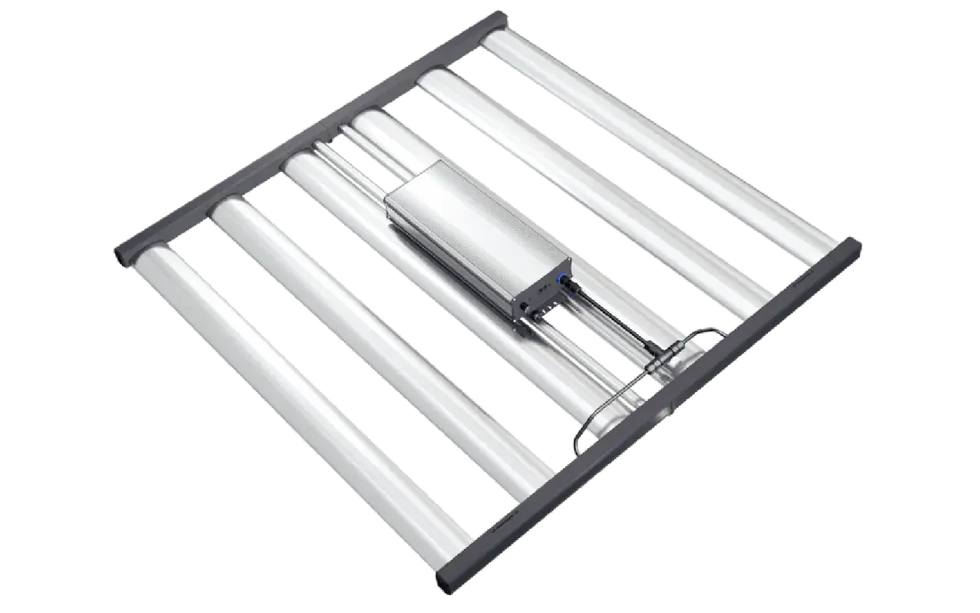 Grand Master LED (GML) Master 6 Bloom Red Featuring 730nm