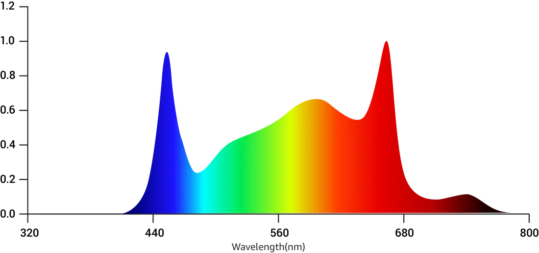 Grand Master LED (GML) Master 6 Bloom Red Featuring 730nm