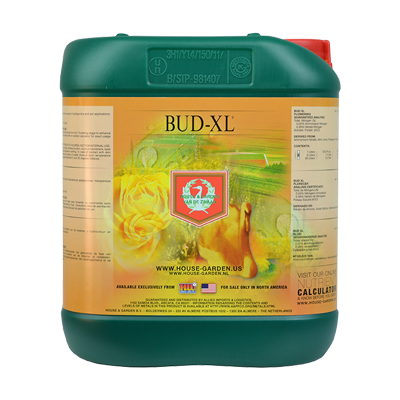 House & Garden Bud Xl