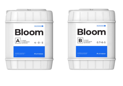 Athena Blended Line - Bloom A + B Set