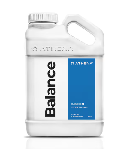 Athena Blended Line - Balance