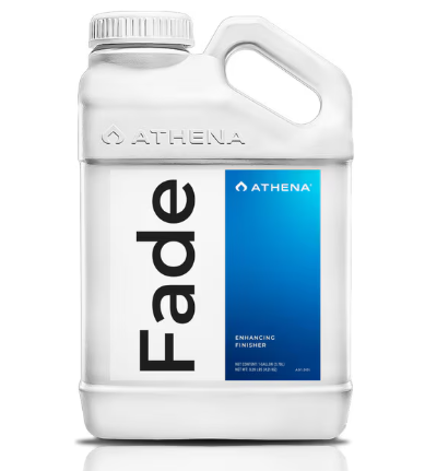 Athena Blended Line - Fade