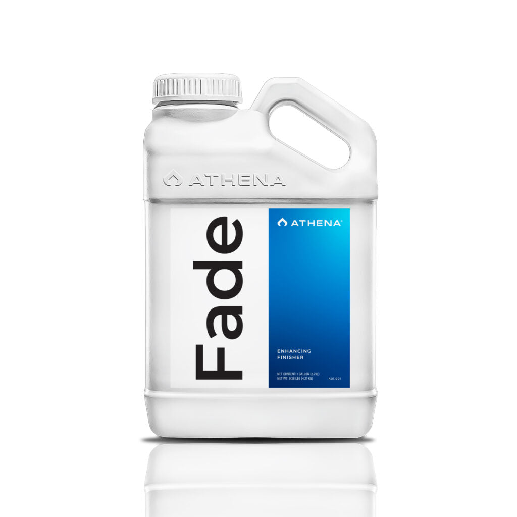 Athena Blended Line - Fade