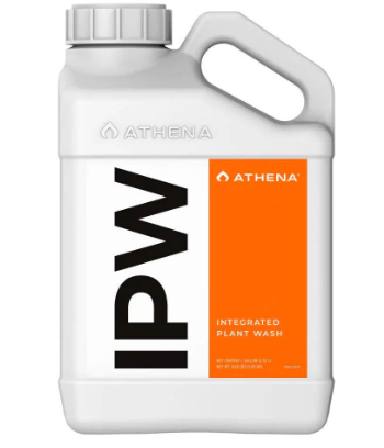 Athena Blended Line - IPW