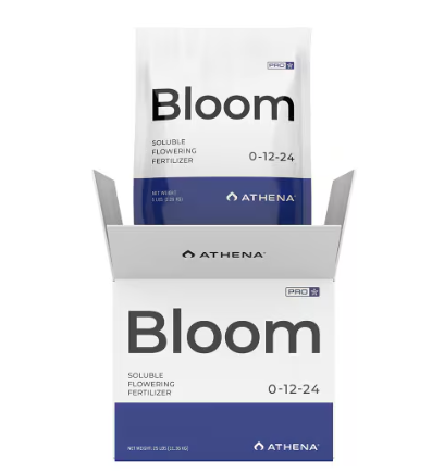 Athena Pro Line - Bloom