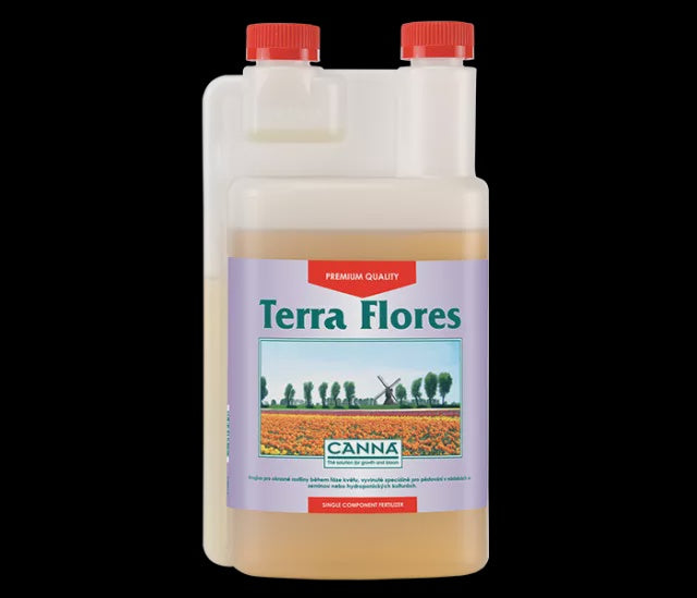 Canna Terra Flores