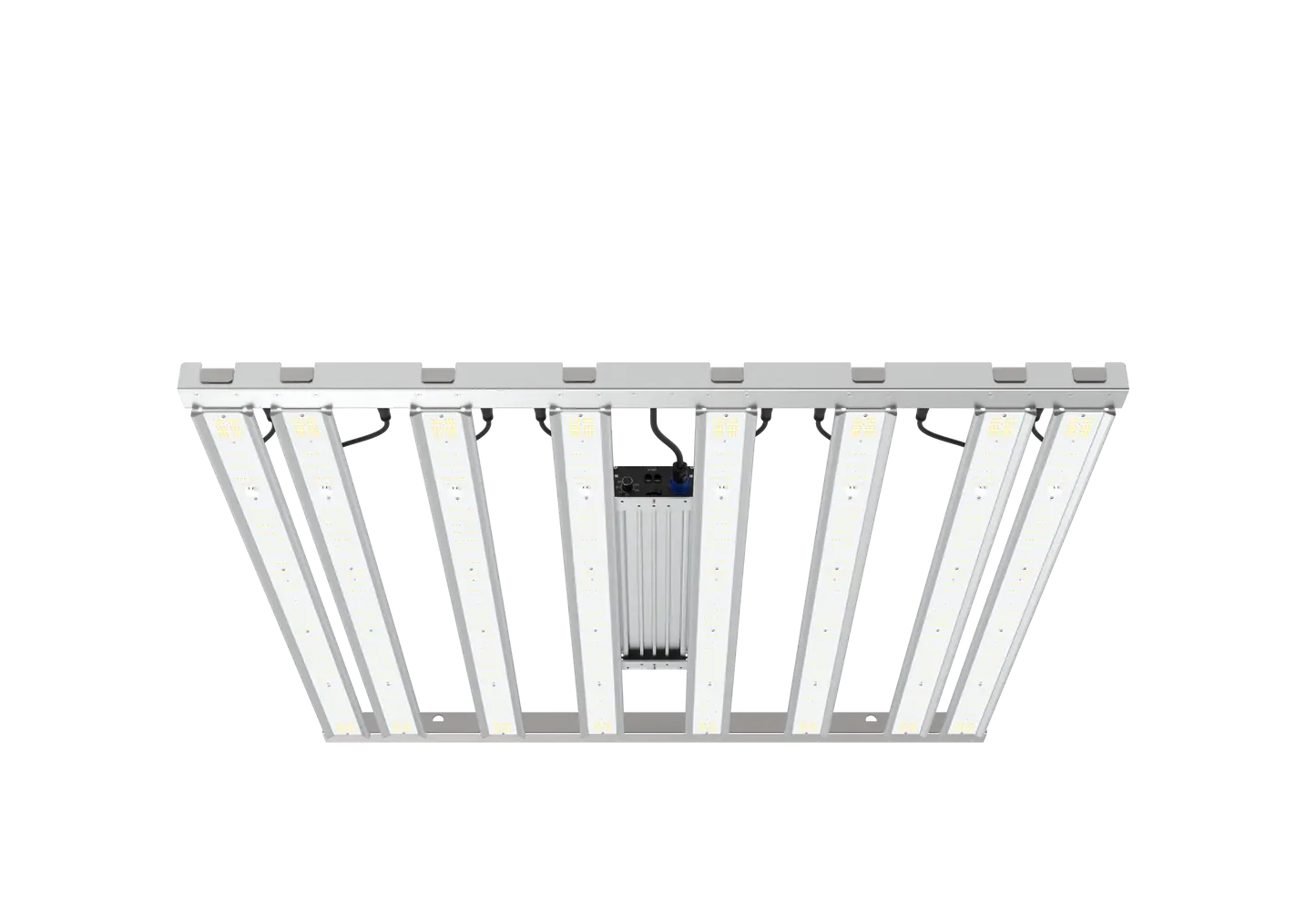 Grand Master Led