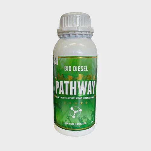Bio Diesel Pathway 40% Mono Silicic Acid