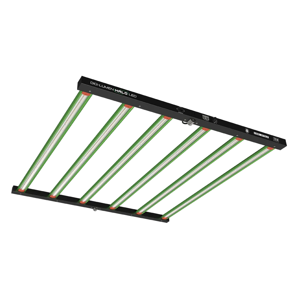 Digi-Lumen LED