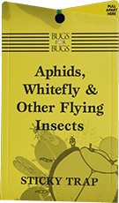 Whitefly Sticky Traps